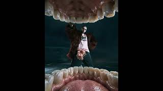 Gregor Magaš - Budala