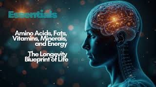 Amino Acids, Fats, Vitamins, Minerals, and Energy — The Longevity Blueprint of Life
