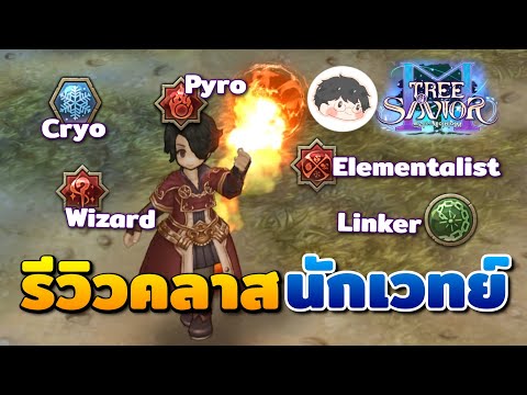 รีวิวทุกคลาสในสายอาชีพ Wizard นักเวทย์สกิลสุดเท่! 