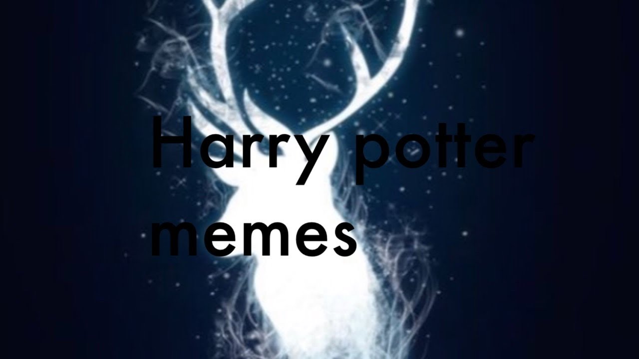 15 Hilarious 'Harry Potter' Memes Only True Fans Will Understand