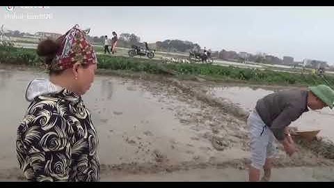 Vợ đòi tặng quà và cái kết hài hước.tik.tok