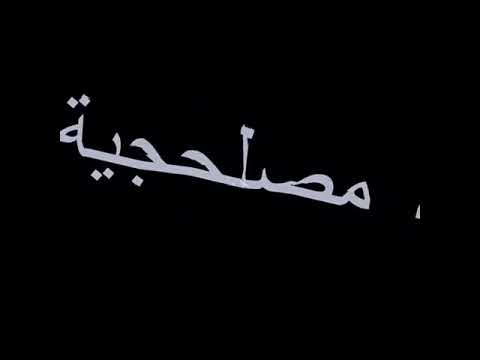 انت وهو وهي كلكم مصلحجية