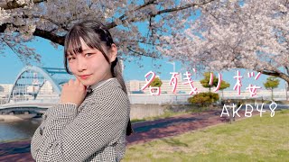 【桜の下で】名残り桜／AKB48  踊ってみた【桜久】