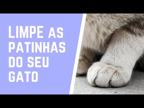 Vídeo: Prata coloidal para cães