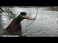 Primitive Technology: Survival Catch Fish by bow and arrow - Yummy Cooking Fish