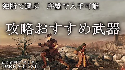 ダークソウル2 最強装備