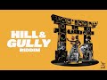 Taeyree Di Genius Matrix Hill Gully Riddim Official Music Video 