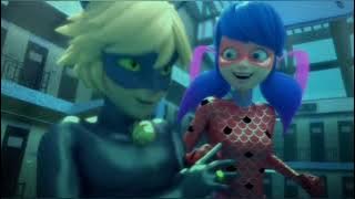 Ladybug and Cat Noir ~ In Case You Didn't Know