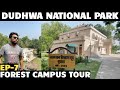 Dudhwa national park forest rest house tour  complete guide of dudhwa tiger reserve ep 7