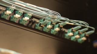 Server Room 06 / Free Stock Footage