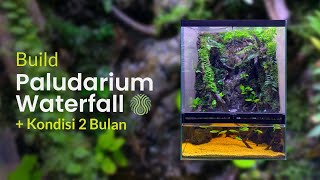 Paludarium waterfall / air terjun - step by step