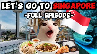 CAT MEMES: FAMILY VACATION COMPILATION TO SINGAPORE + EXTRA SCENES
