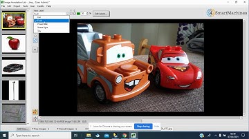 Image Annotation Lab