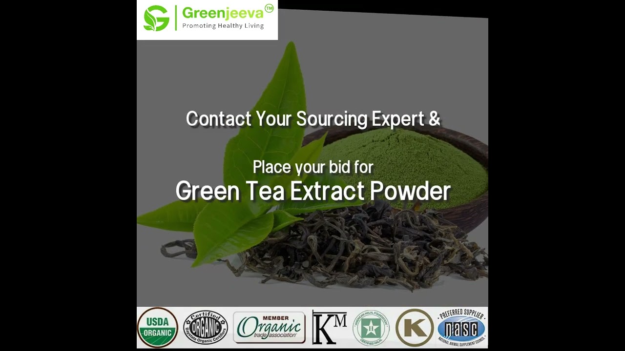 USDA Approved Bulk Green Tea Extract Powder Supplier USA | Greenjeeva