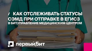 Как отслеживать статусы СЭМД при отправке в ЕГИСЗ в БИТ.Управление медицинским центром screenshot 5