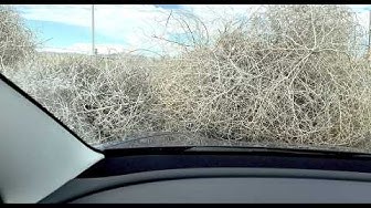 Thumbnail for Tesla vs Tumbles, Reloaded