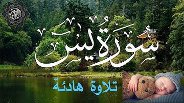 سورة يس كاملة بصوت جميل جدا للقارئ عبد الرحمن السويد | بجودة عالية
