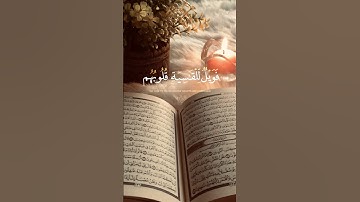 تلاوة عطرة من سورة الزمر #اكسبلور #explore #قرآن
