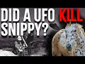 Was snippy the horse killed by a ufo