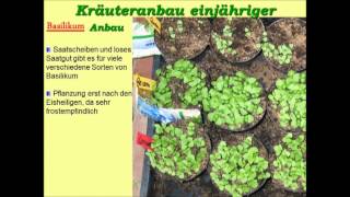 Kräuter-Experte.de | Kräuter in Garten&Küche Teil1 mit der Gartenbau-Ingenieurin Ulrike Lindner