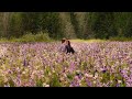 The Twilight Saga Breaking Dawn Part 2 2012 Ending 