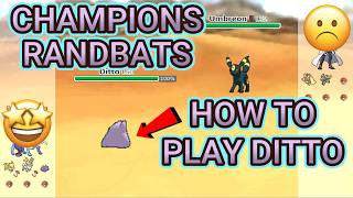 How To Play Ditto! (Pokemon Showdown Random Battles)