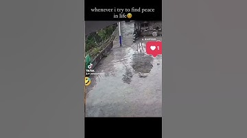 everytime happens🥹 #comedy #funny #funnymemes #funnyvideos #lol #meme #dankmemes #memesdaily #memes