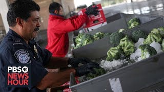 News Wrap: Trump says tariffs on Mexican goods ‘likely’
