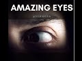 Amazing eyes amazing eyes vidmonk eyes eyeshadow eyehealth eyelashes eyebrows