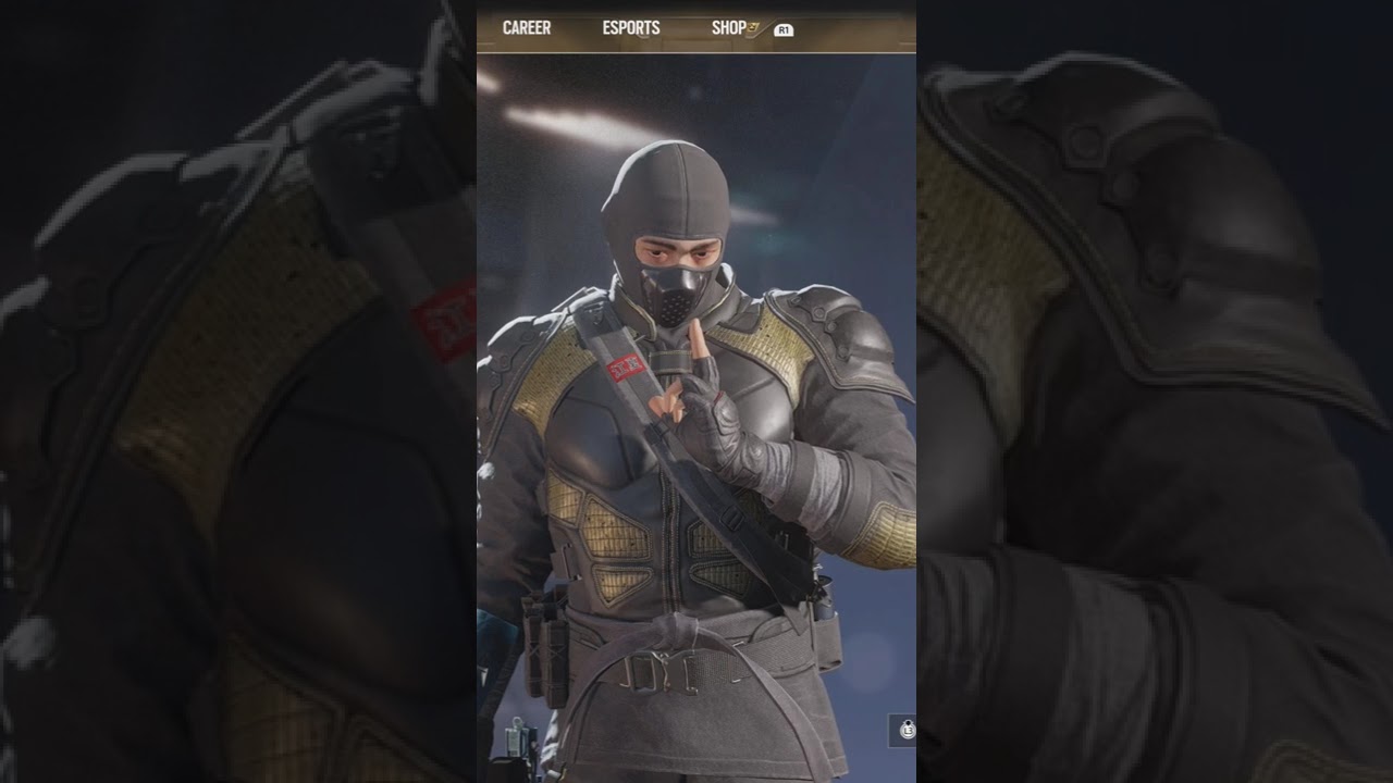 R6 Nerf/buff series Echo buff 