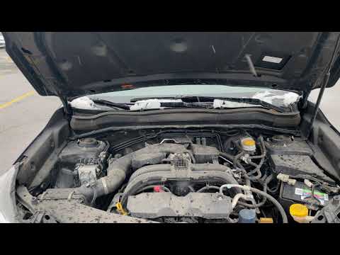 Subaru Forester – Where to add oil