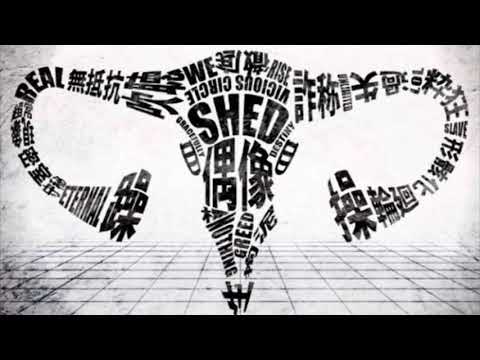 うみなおし歌ってみた【まるは】