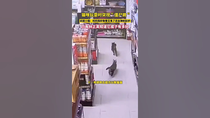 猫猫玩耍忽然僵尸跳，前面小猫：妈妈我好像看见鬼了！