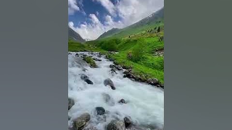 سورة النمل الآيات من 17 إلى 22