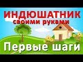 Индюшатник своими руками