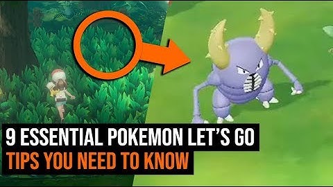 9 Essential Pokemon Let