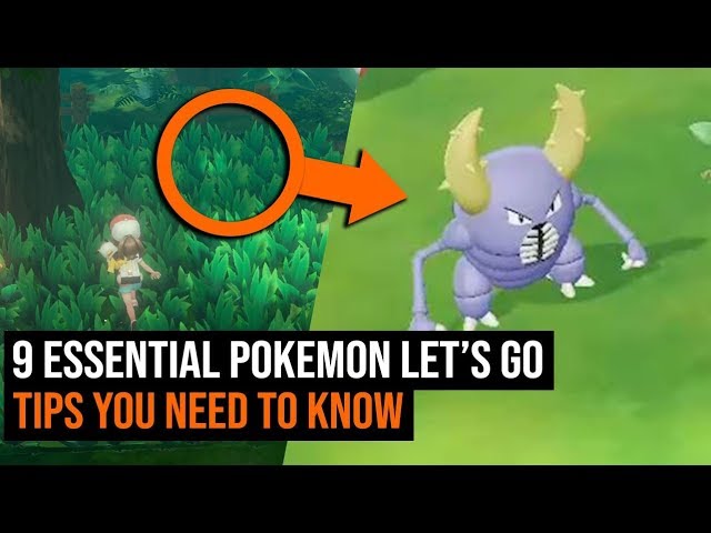 How to Get Vespiquen in Pokemon Brilliant Diamond & Shining Pearl 