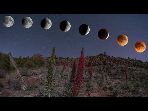 Mondfinsternis / Lunar Eclipse / Eclipse Lunar - May 16th, 2022 - Teide National Park, Tenerife