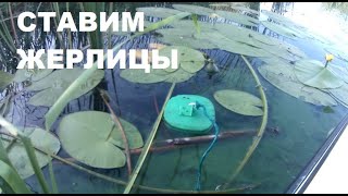 145 Ставим  Жерлицы  На Щуку В Волжском Ерике.//Volga Fishing Pike