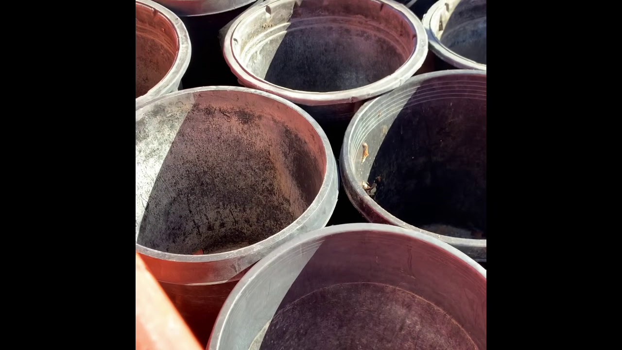 How to haul dirt home ready pots YouTube