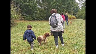Educa Patte - Balade collective du 20 septembre 2020