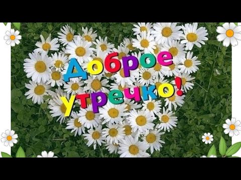С ДОБРЫМ,ЛЕТНИМ УТРОМ!
