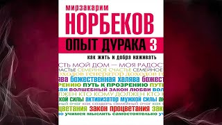 Опыт дурака 3. Как жить и добра наживать. Самостоятельное изготовление семейного счастья. Норбеков