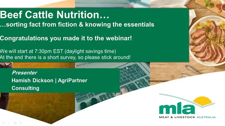 MBfP webinar | Beef cattle nutrition