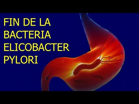 Video: Bacteriosis De Zanahoria