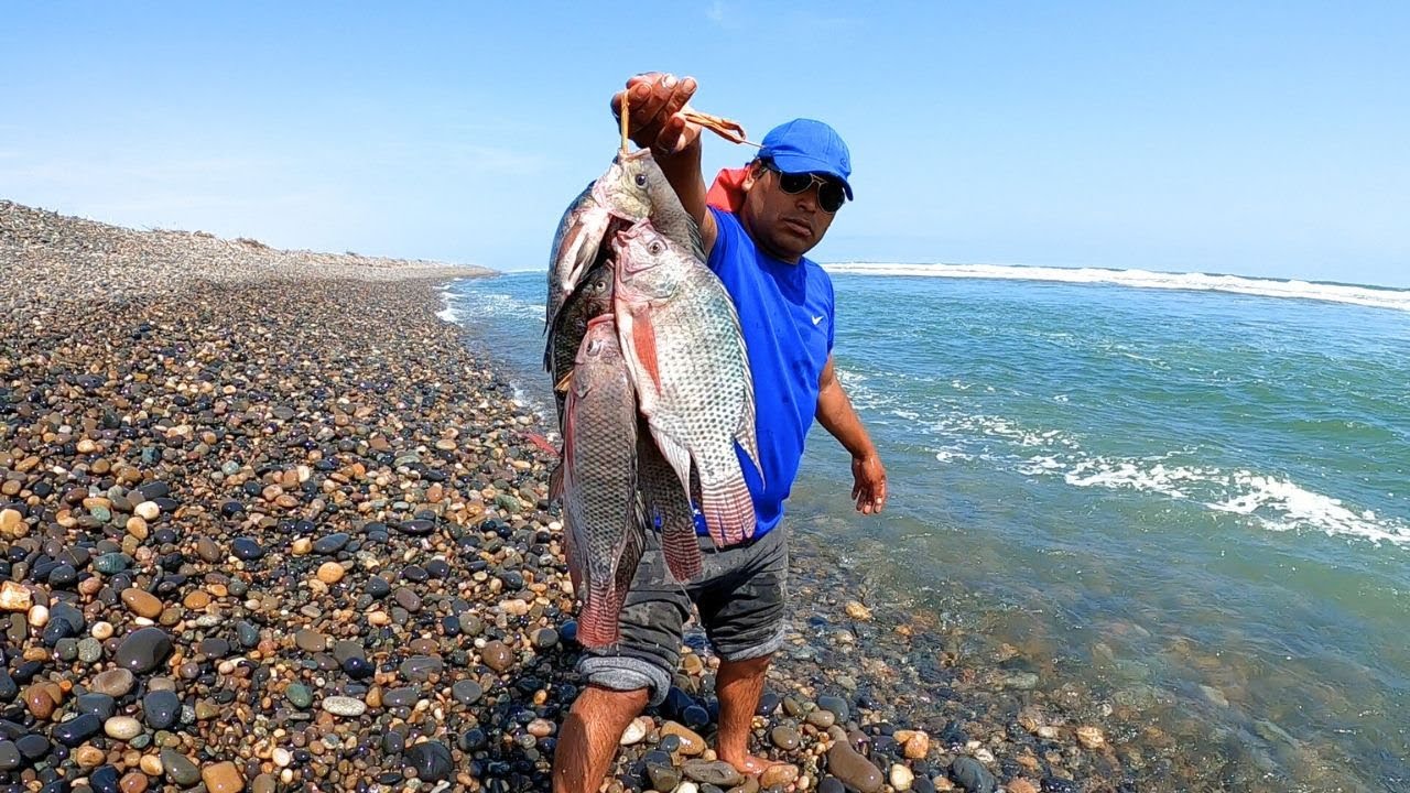 Mira que sale con este Pescado | El Ceviche | Pescado para hacer ceviche