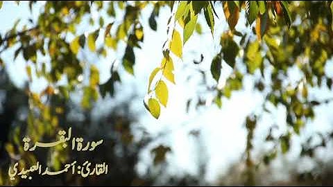 ترتيل بديع من سورة البقرة للقارئ : أحمد العبيدي .