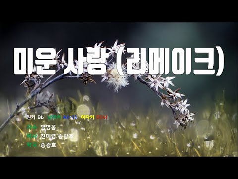 [은성 반주기] 미운사랑(리메이크) - 임영웅