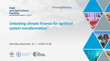 Unlocking climate finance for agrifood system transformation
