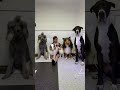 我が家多頭飼いのワンちゃん大集合させたらとんでもないことになったw